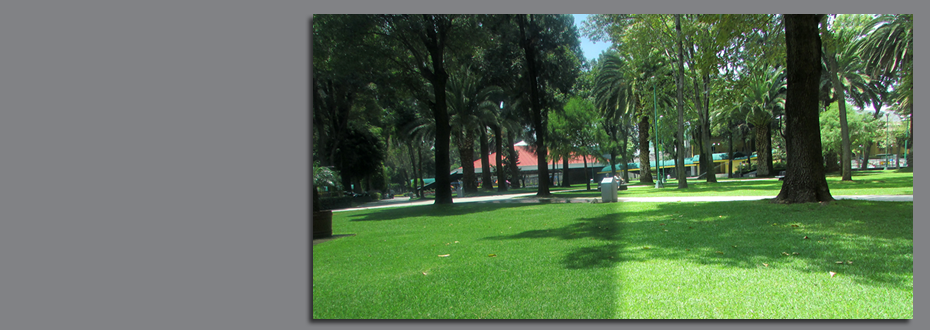 Weber Internacional 2