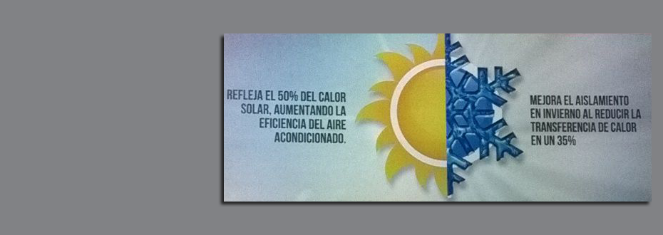 Weber Internacional 6