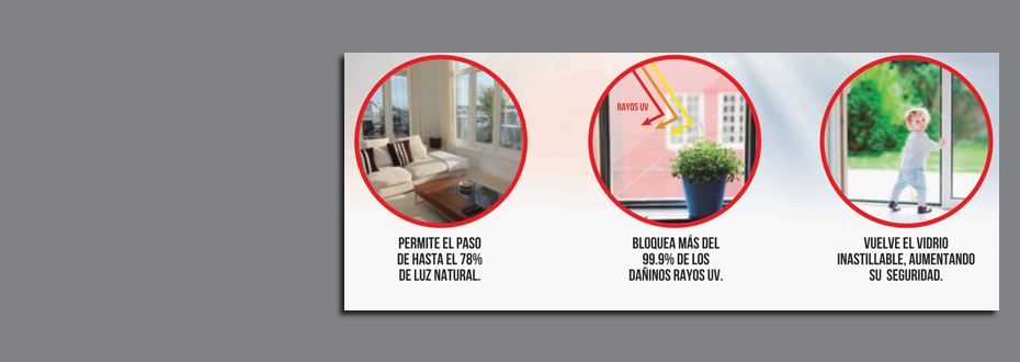 Weber Internacional 6